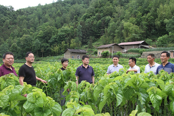 安康市商務(wù)局領(lǐng)導(dǎo)來我公司調(diào)研春蠶收購及扶貧點(diǎn)蠶?；亟ㄔO(shè)情況